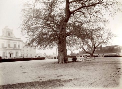 GraphicConverterScreenSnapz008 copy