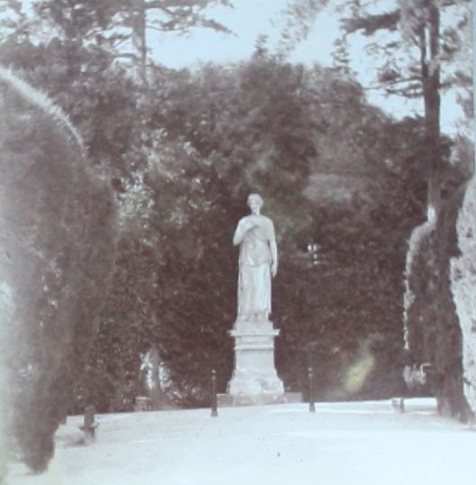 aaaaaaaaaaaBostonJuno4